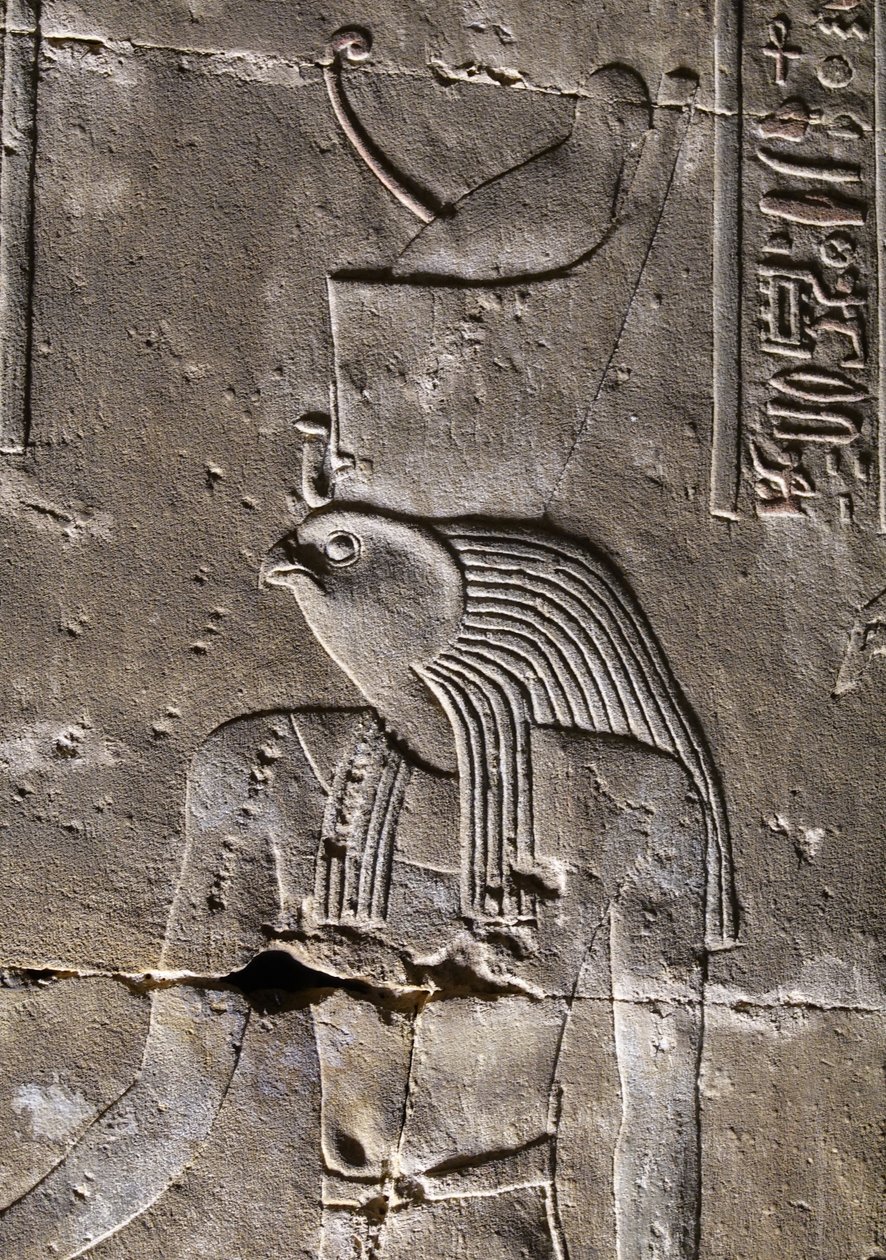  بواسطة مصري مصري
