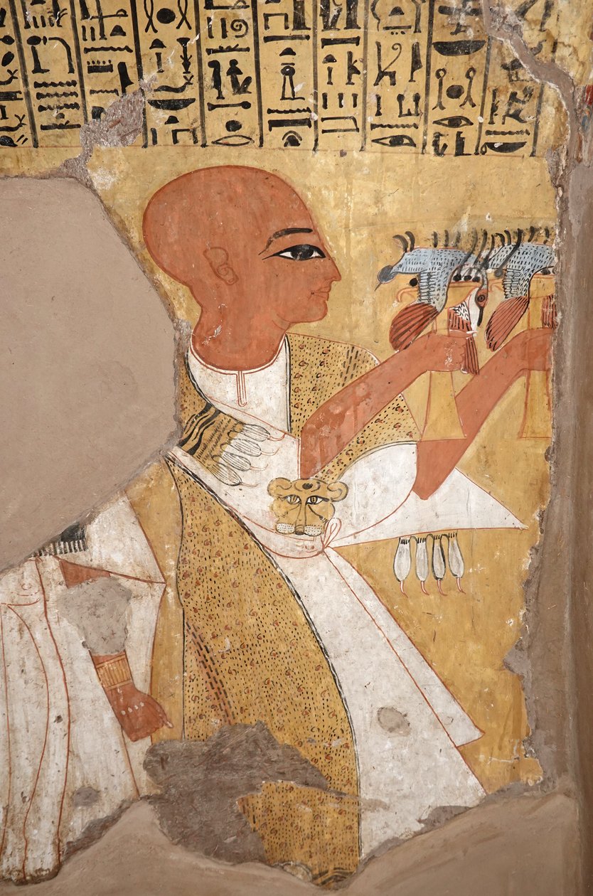  بواسطة مصري مصري