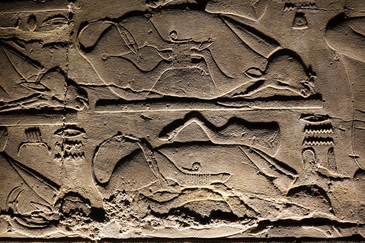  بواسطة مصري مصري