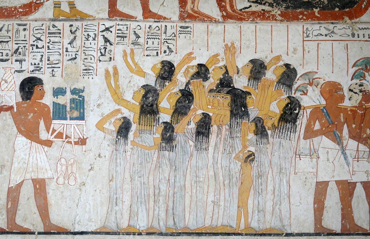  بواسطة مصري مصري