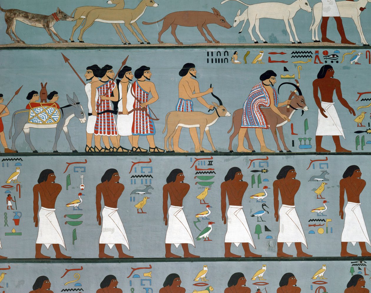  بواسطة مصري مصري