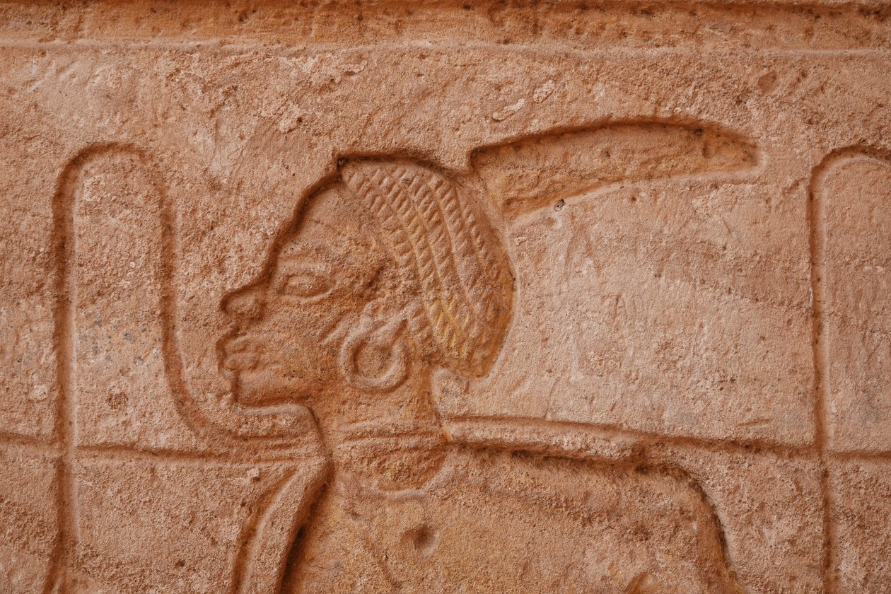  بواسطة مصري مصري
