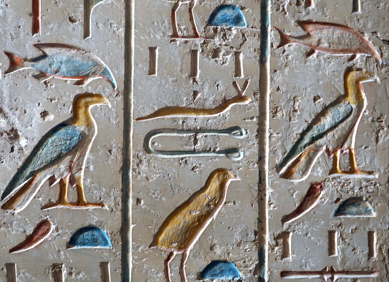  بواسطة مصري مصري
