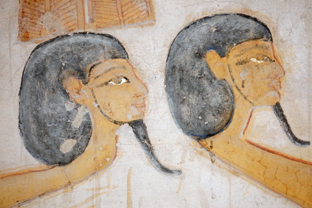  بواسطة مصري مصري