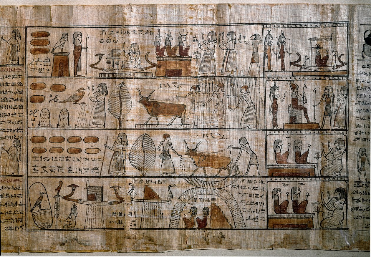 الآثار المصرية: حقول الإليزيه. بردية من كتاب الموتى. الفترة البطلمية. تورينو المتحف المصري بواسطة الفترة البطلمية المصرية