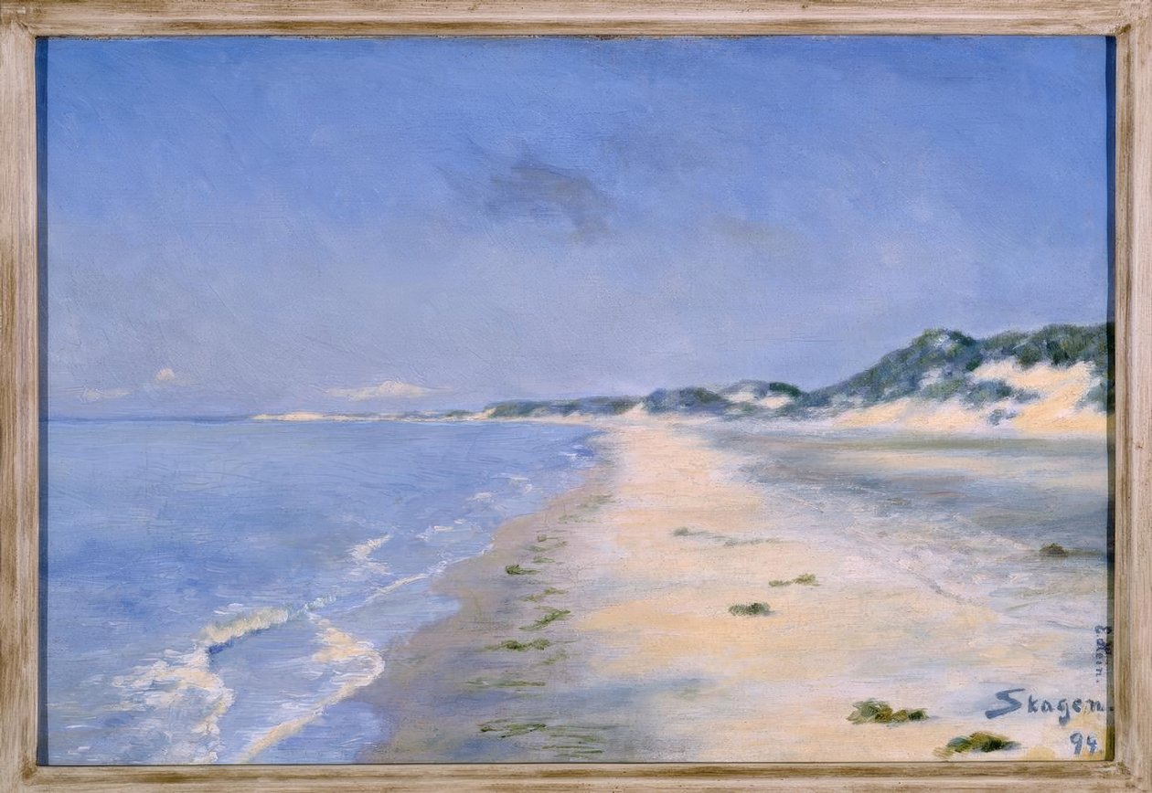 E. Hein ، يوم صيفي رائع في Skagen بواسطة اينار هاين