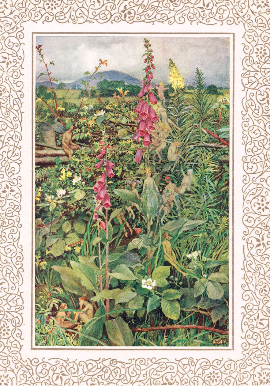 Naues Fairies بين Foxgloves ، رسم توضيحي من 