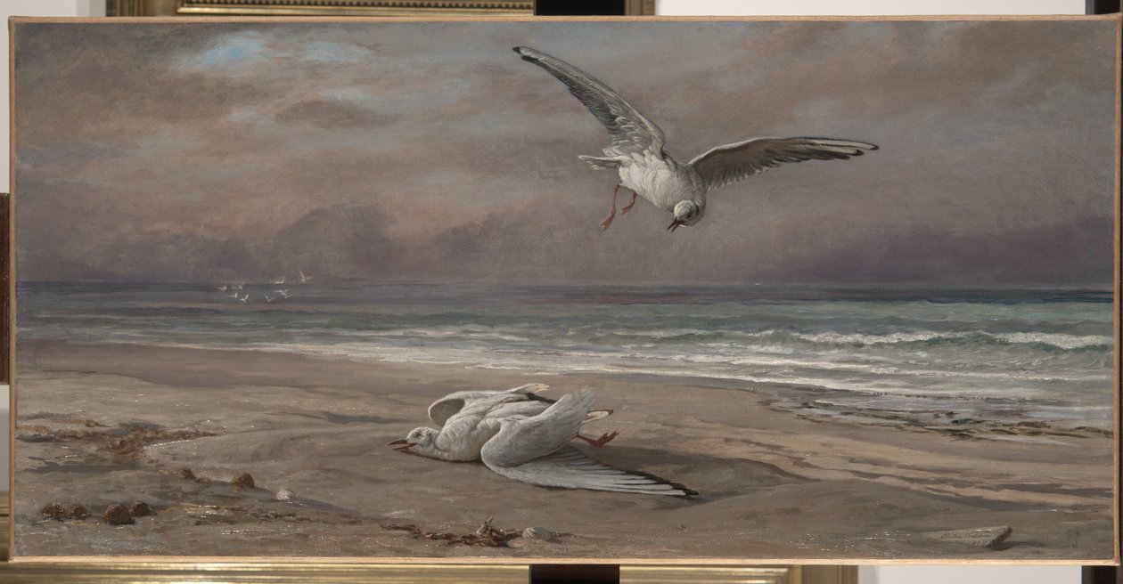 نور البحر الميت ، 1879 بواسطة اليهو فيدر