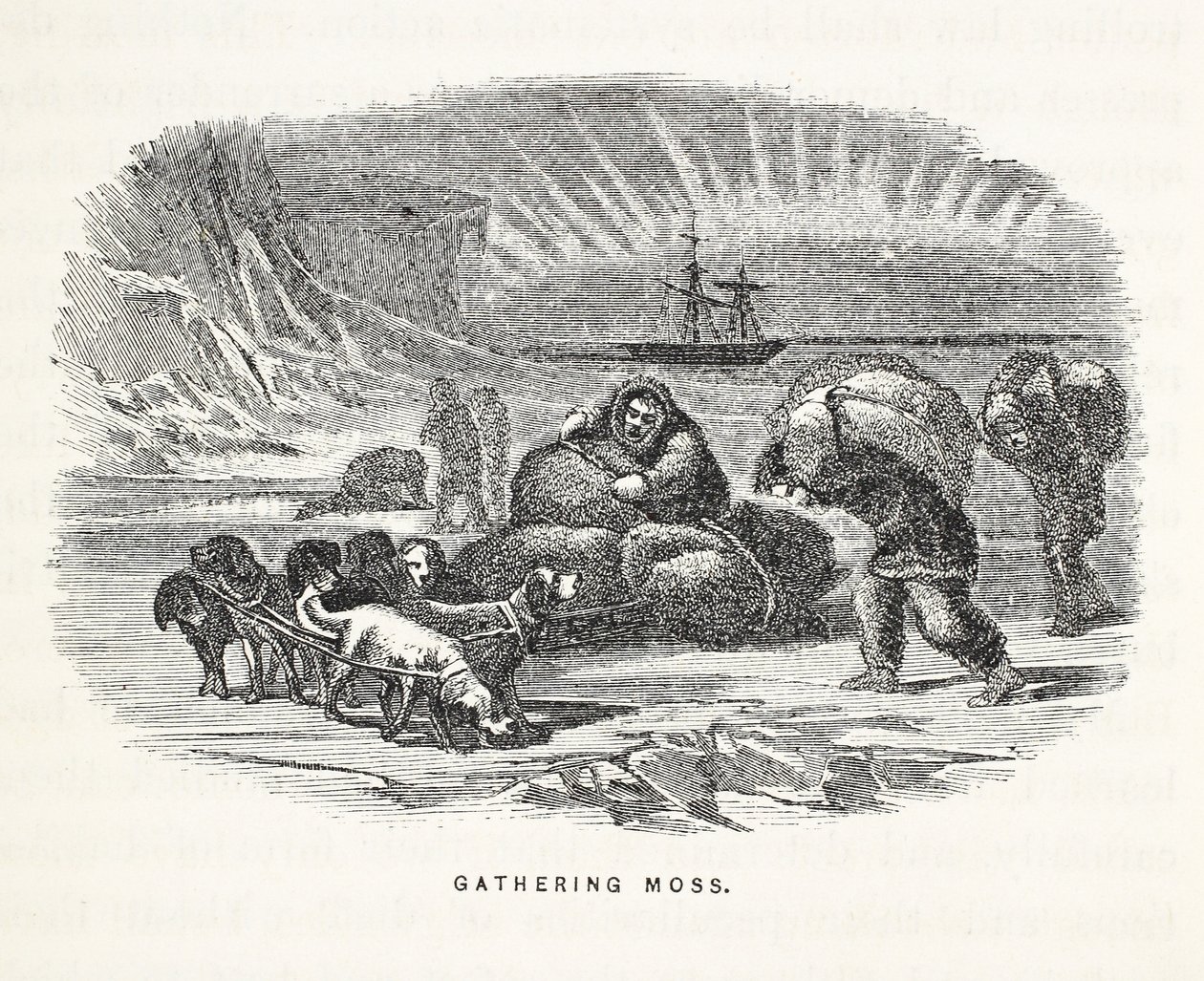 جمع موس ، رسم توضيحي من "رحلة غرينيل الثانية في البحث عن السير جون فرانكلين ..." ، 1856 بواسطة إليشا كينت كين