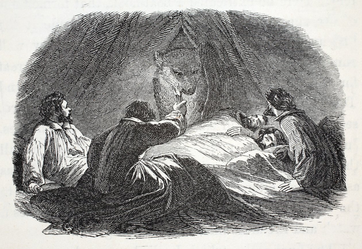 الدب في المعسكر ، توضيح من "بعثة غرينيل الثانية في البحث عن السير جون فرانكلين ..." ، 1856 بواسطة إليشا كينت كين