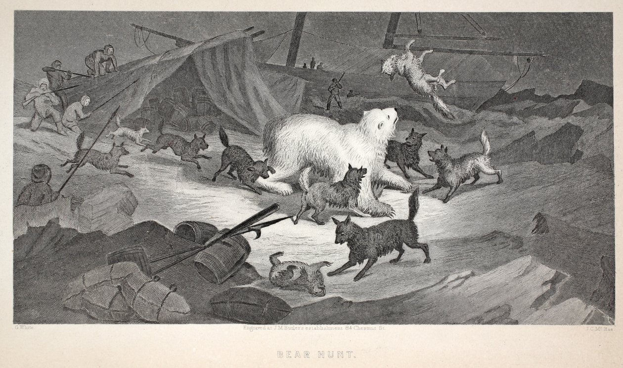 Bear Hunt ، توضيح من "رحلة غرينيل الثانية في البحث عن السير جون فرانكلين ..." ، 1856 بواسطة إليشا كينت كين
