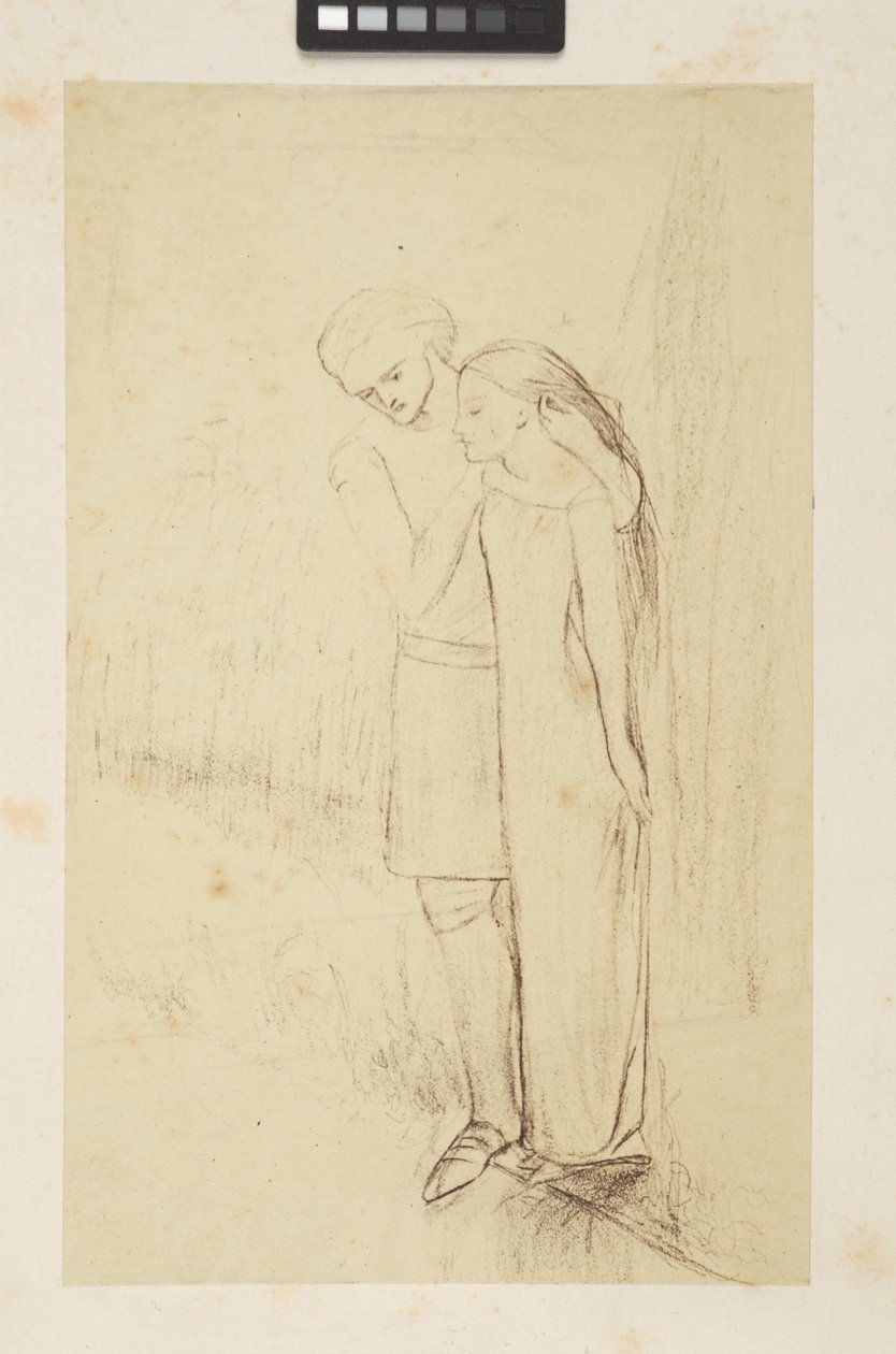 التصاميم والرسومات بواسطة إليزابيث إليانور (1834-62) سيدال