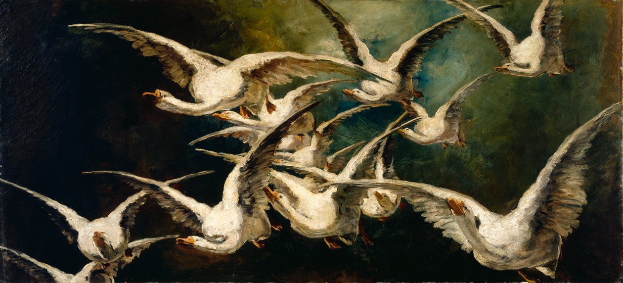 قطيع الأوز ، كاليفورنيا. 1883. بواسطة اليزابيث نورس