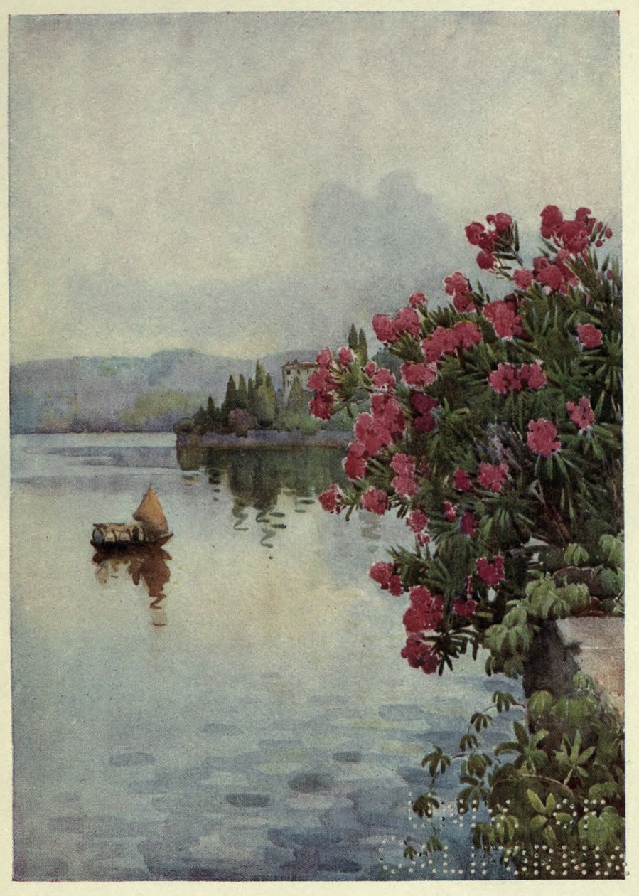 Oleanders ، Lago di Como ، رسم توضيحي من "البحيرات الإيطالية" بقلم ريتشارد باجوت بواسطة إيلا دو كين