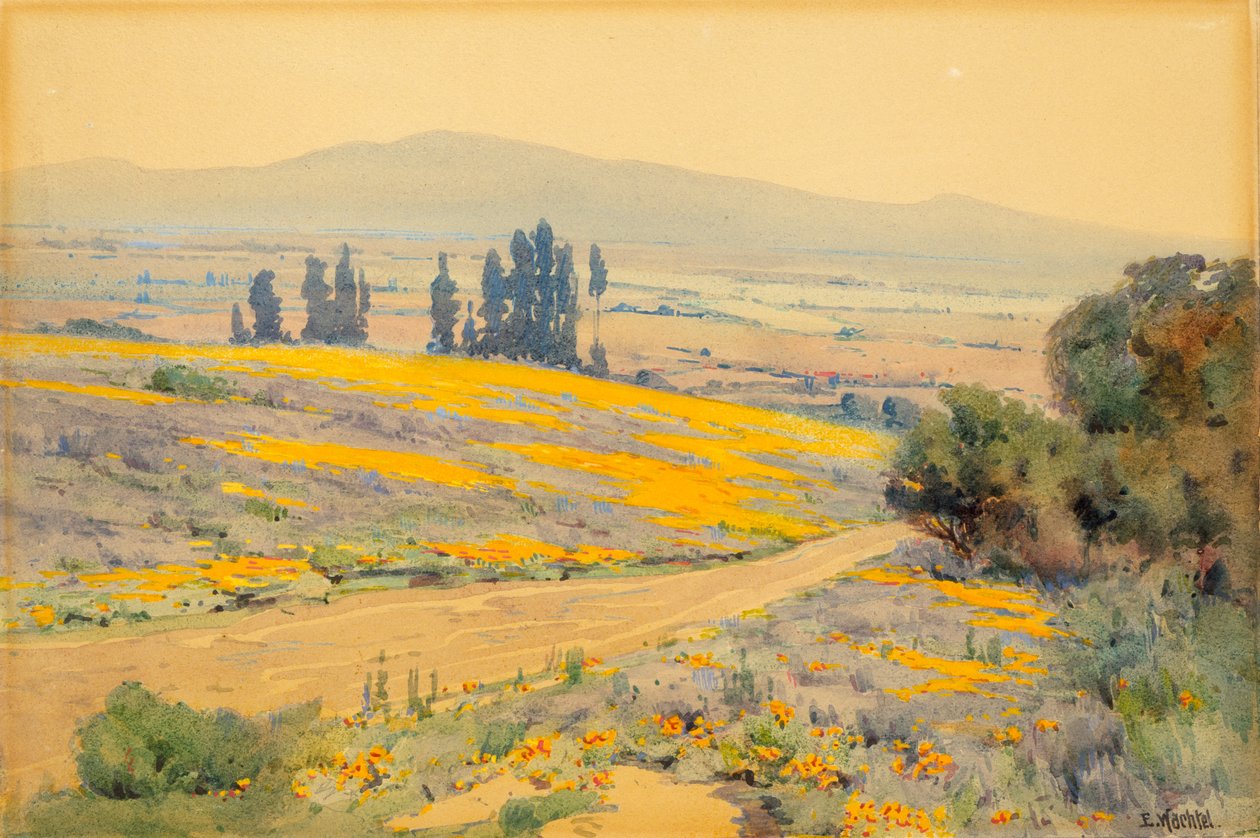 المناظر الطبيعية لربيع كاليفورنيا ، كاليفورنيا. 1920. بواسطة إلمر السمان