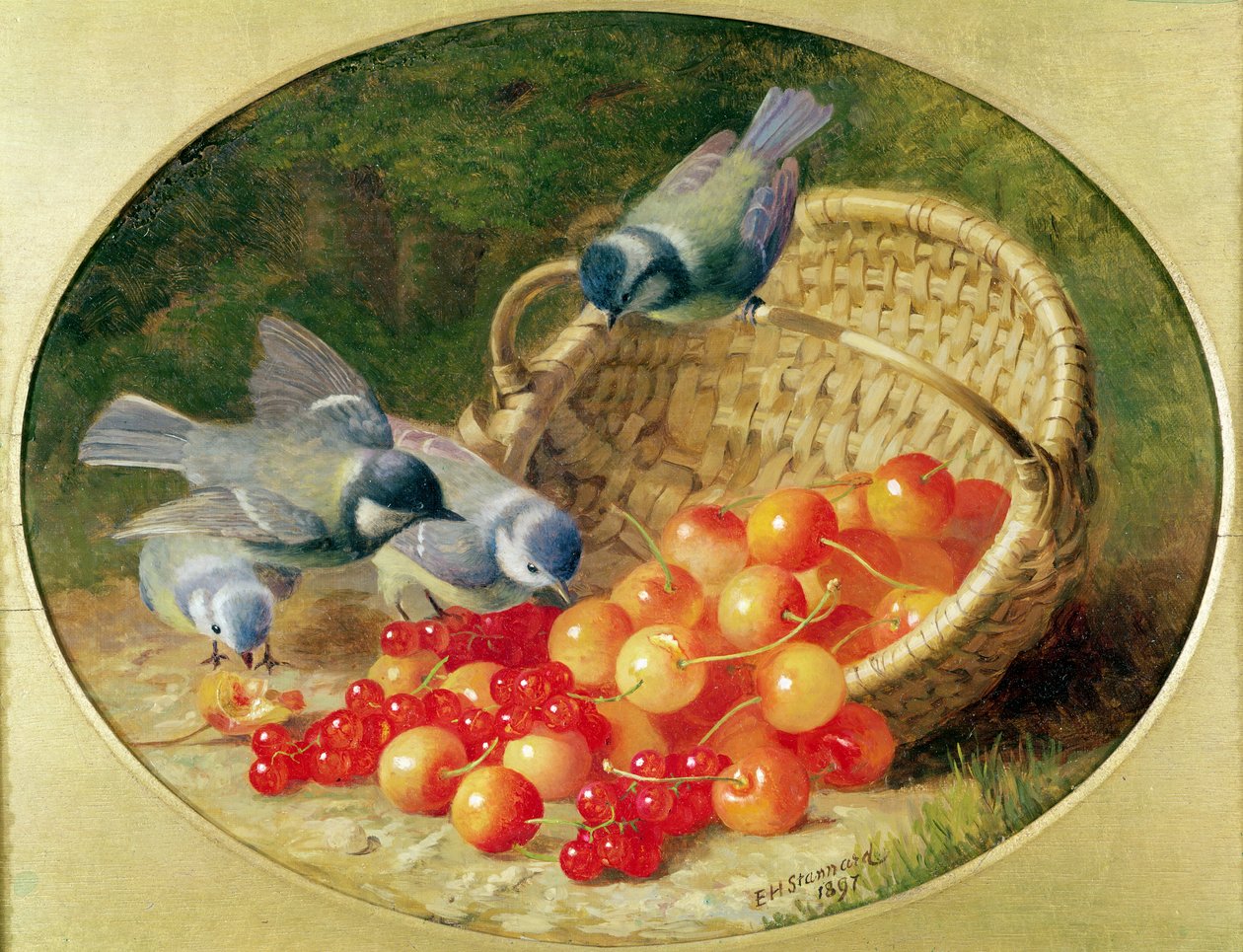 Bluetits تنقر على الكرز ، 1897 بواسطة إلويز هارييت ستانارد