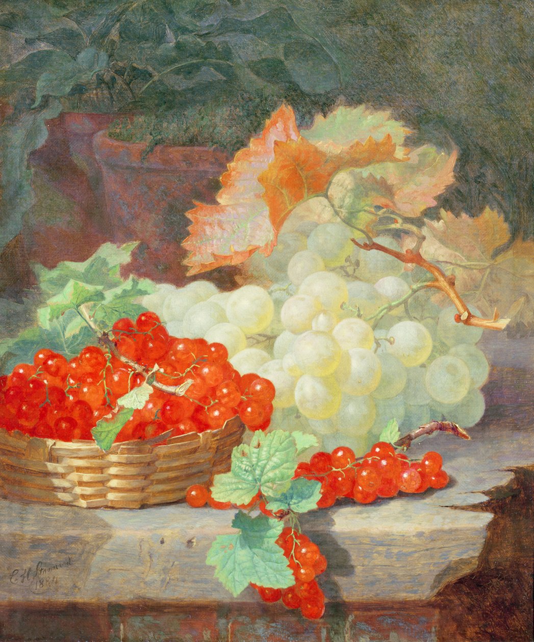 Redcurrants and Grapes، 1864 بواسطة إلويز هارييت ستانارد