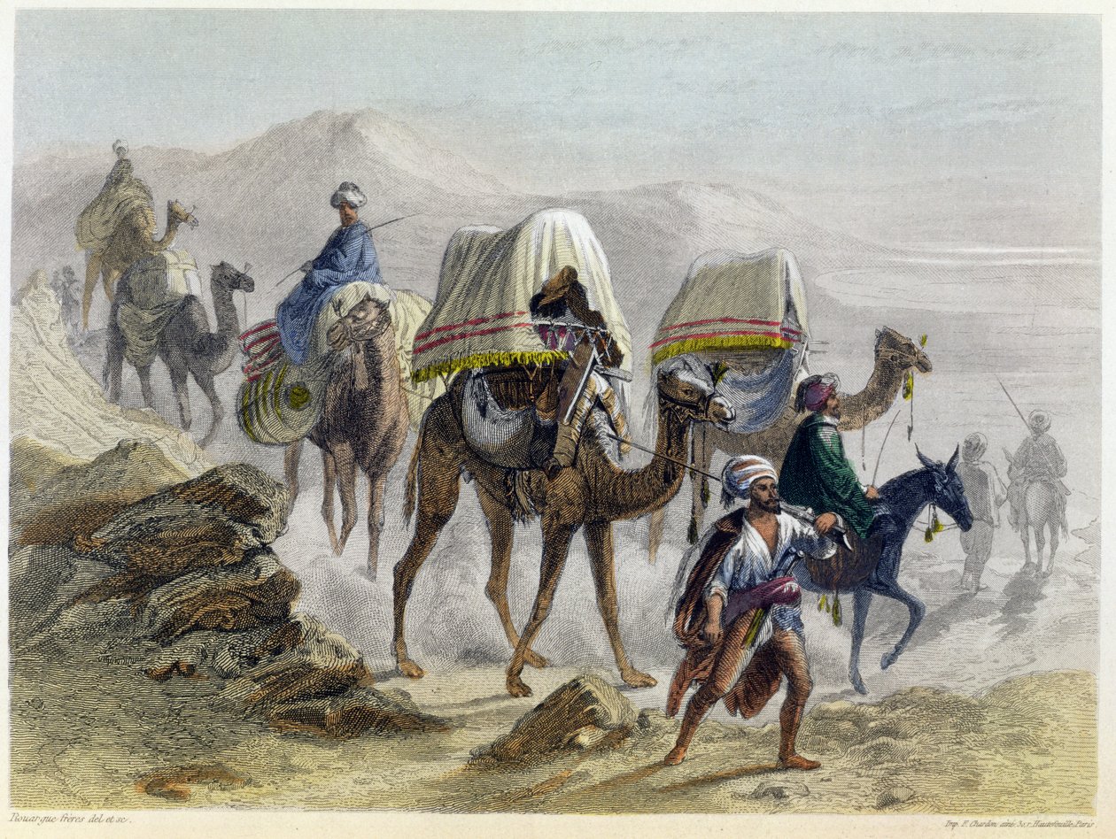قطار الجمل ، من "القسطنطينية والبحر الأسود" ، منقوش من قبل الأخوين رويرغو ، 1855 بواسطة اميل وروجير