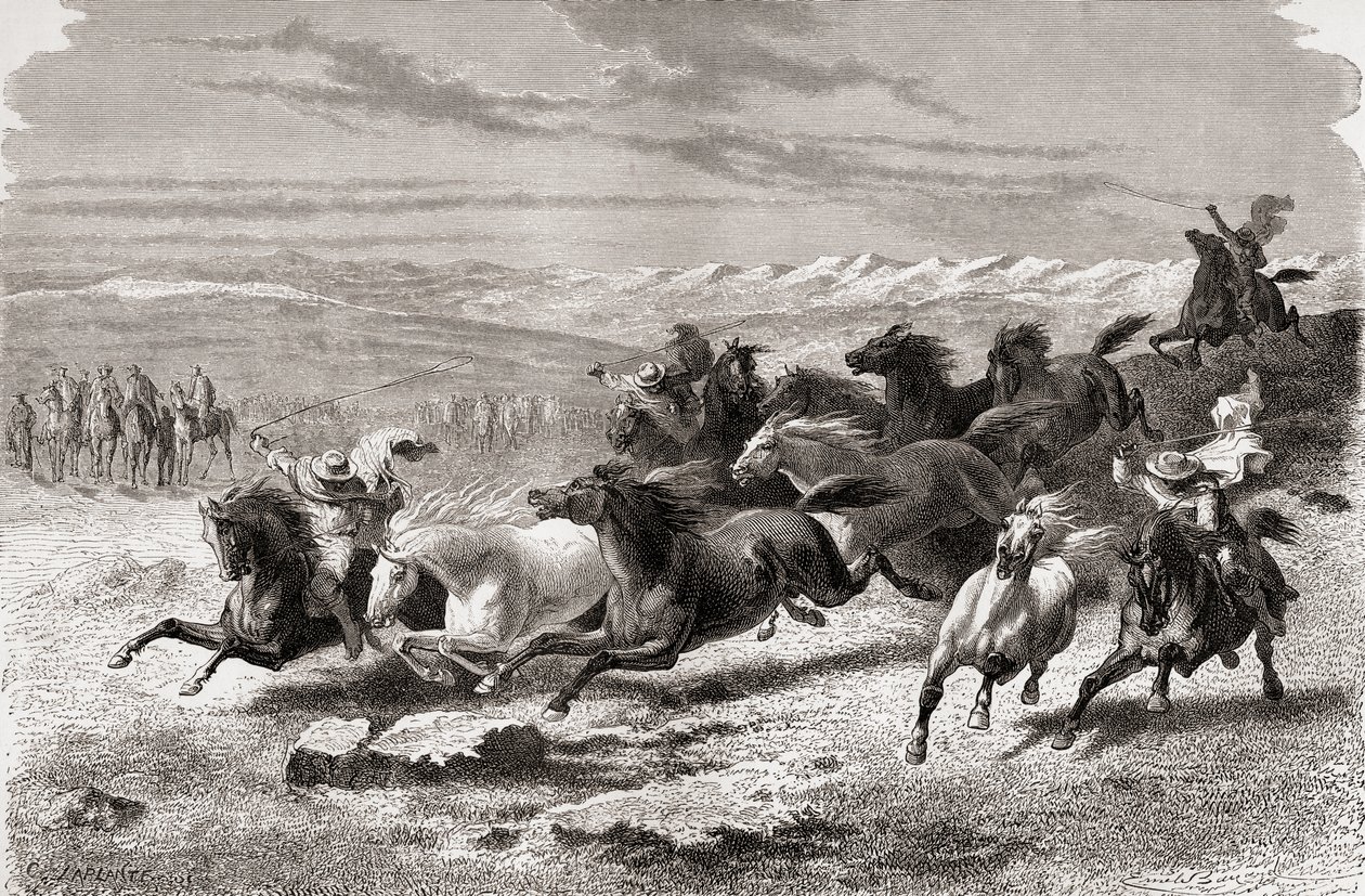 Gauchos الأرجنتيني يجمع الخيول البرية ، التوضيح من "العالم في اليدين" ، نقشها تشارلز لابلانت (ت 1903) ، نشر عام 1878 بواسطة إميل أنطوان بايارد