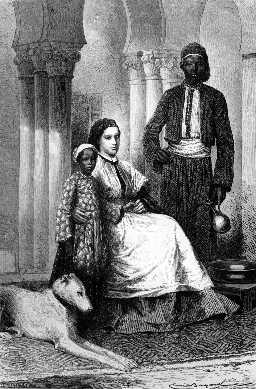 ملكة جمال تين في منزلها بالقاهرة ، رسم توضيحي من لو تور دو موند ، 1871 بواسطة إميل أنطوان بايارد