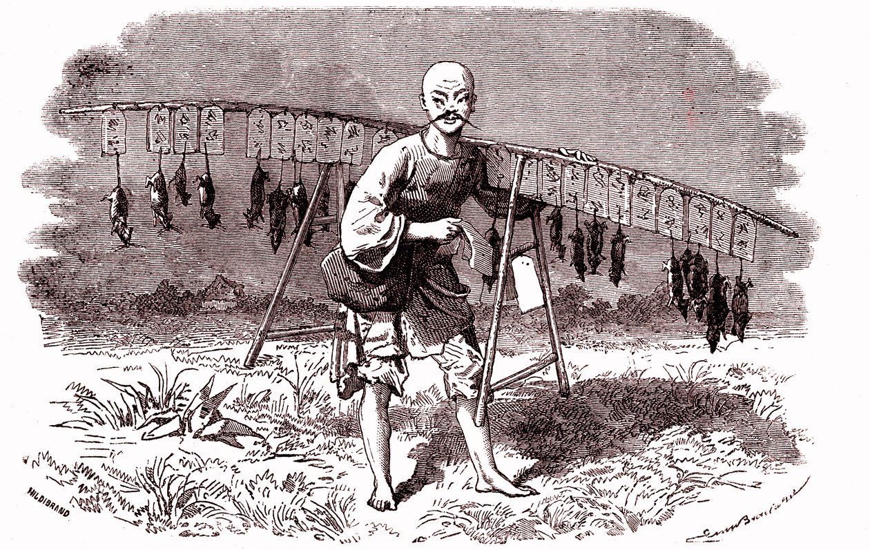 قاتل الفئران في الصين. 1874 (نقش) بواسطة إميل أنطوان بايارد