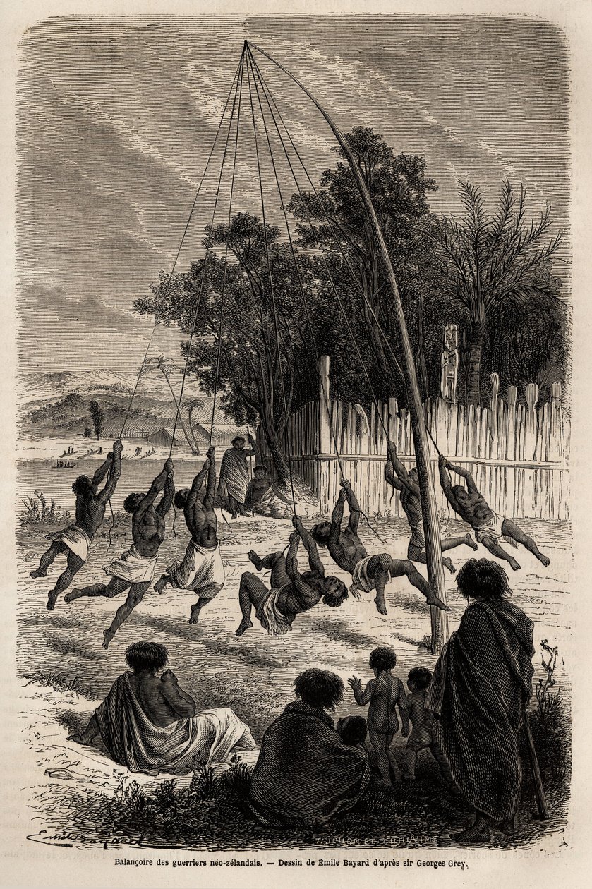 أرجوحة المحاربين من نيو زيلاند في برزخ أوكلاند ، رسمها إميل بايارد (1837-1891) ، لتوضيح رحلة فرديناند دي هوشستيتر إلى نيوزيلندا من 1858 إلى 1860. نقش في "" Le tour du monde "، حرره إدوارد شارتون بواسطة إميل أنطوان بايارد