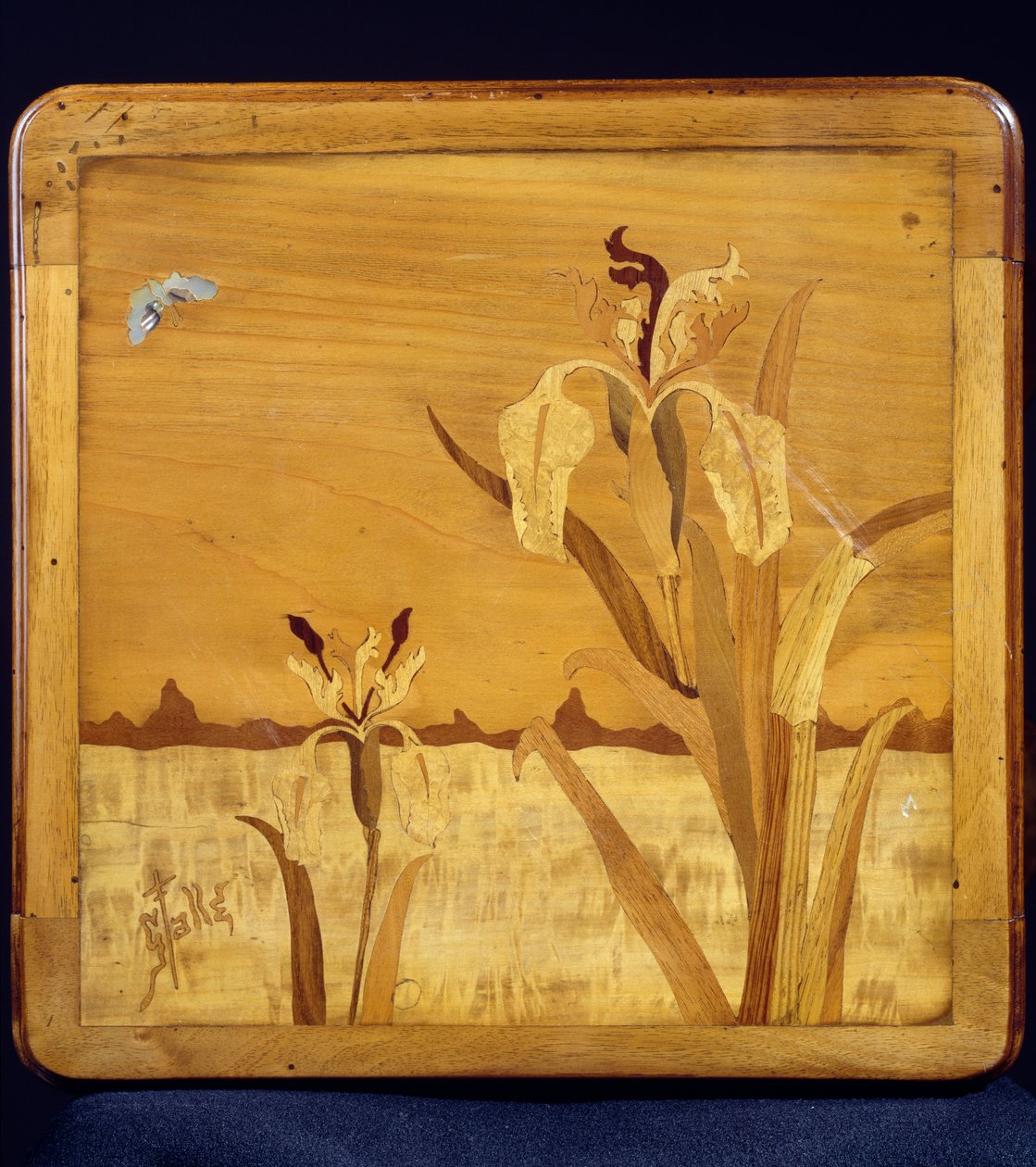 طاولة على طراز فن الآرت نوفو ، من تصميم إميل جالي (1846-1904) ، من خشب الجوز مع تشطيب قشرة وخشب مختلف ، تفاصيل ، فرنسا ، القرن العشرين بواسطة اميل جالي