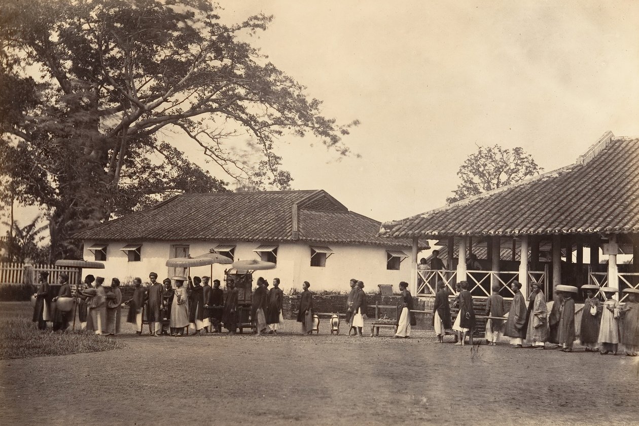موكب الزفاف ، كوشين الصين ، 1866. بواسطة إميل جسيل