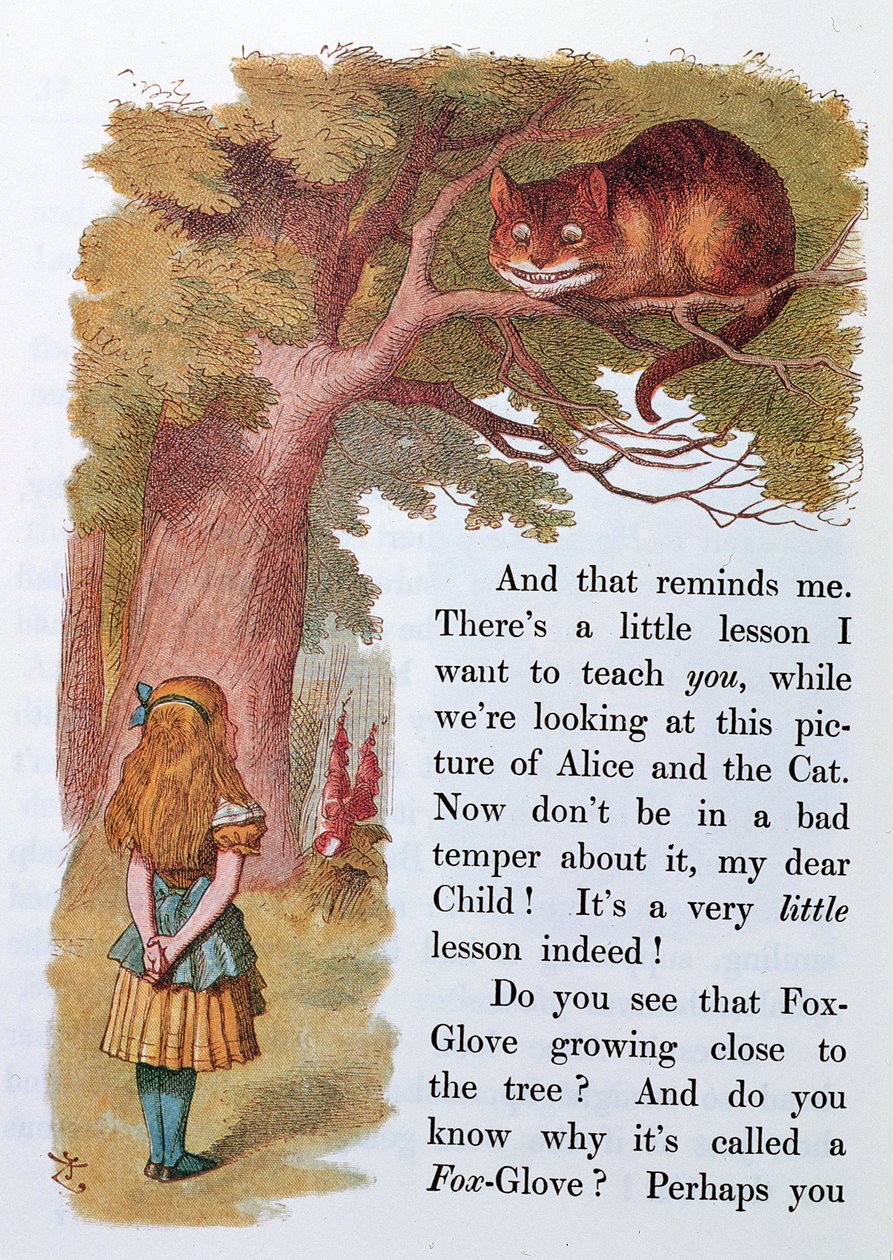 Alice and Cheshire Cat ، رسم توضيحي من "أليس في بلاد العجائب" ، نُشر في لندن ، 1889 بواسطة إميلي جيرترود طومسون