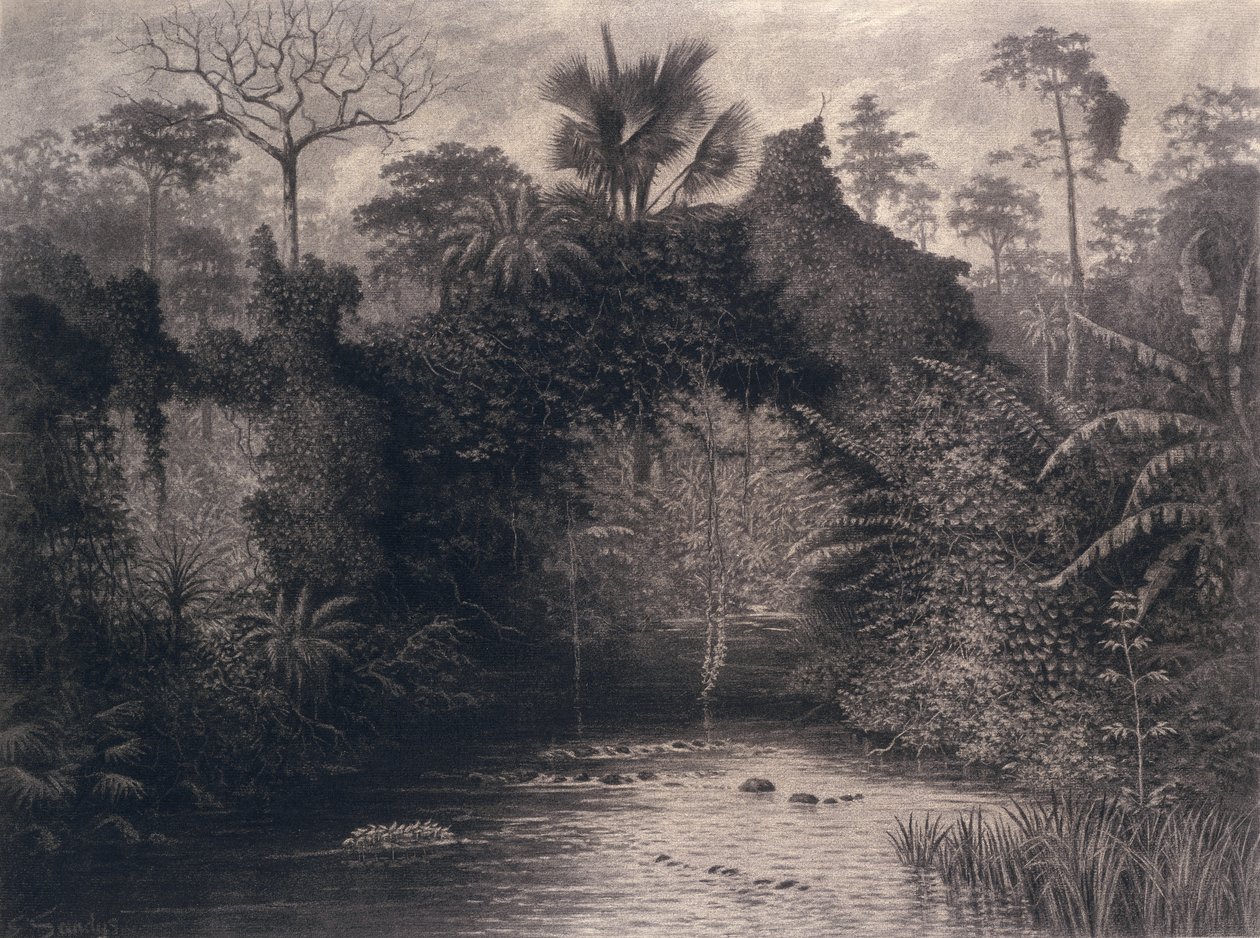 منظر لخليج بيافرا ، غرب إفريقيا ، 1877 (فحم على ورق) بواسطة إيما سانديز
