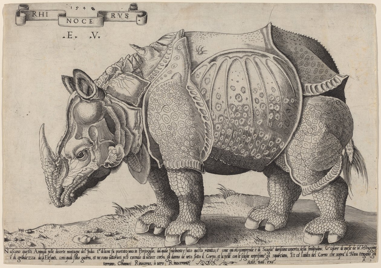 وحيد القرن بواسطة Enea Vico بعد Albrecht Dürer