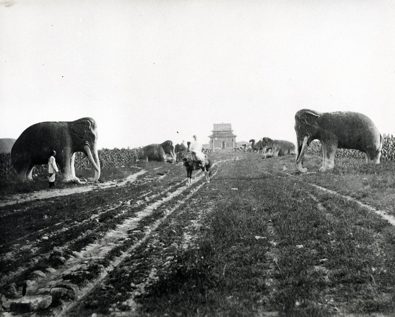 جادة حيوانات الجارديان المؤدية إلى مقابر مينغ ، بكين ، c.1868-70 بواسطة مصور انجليزى