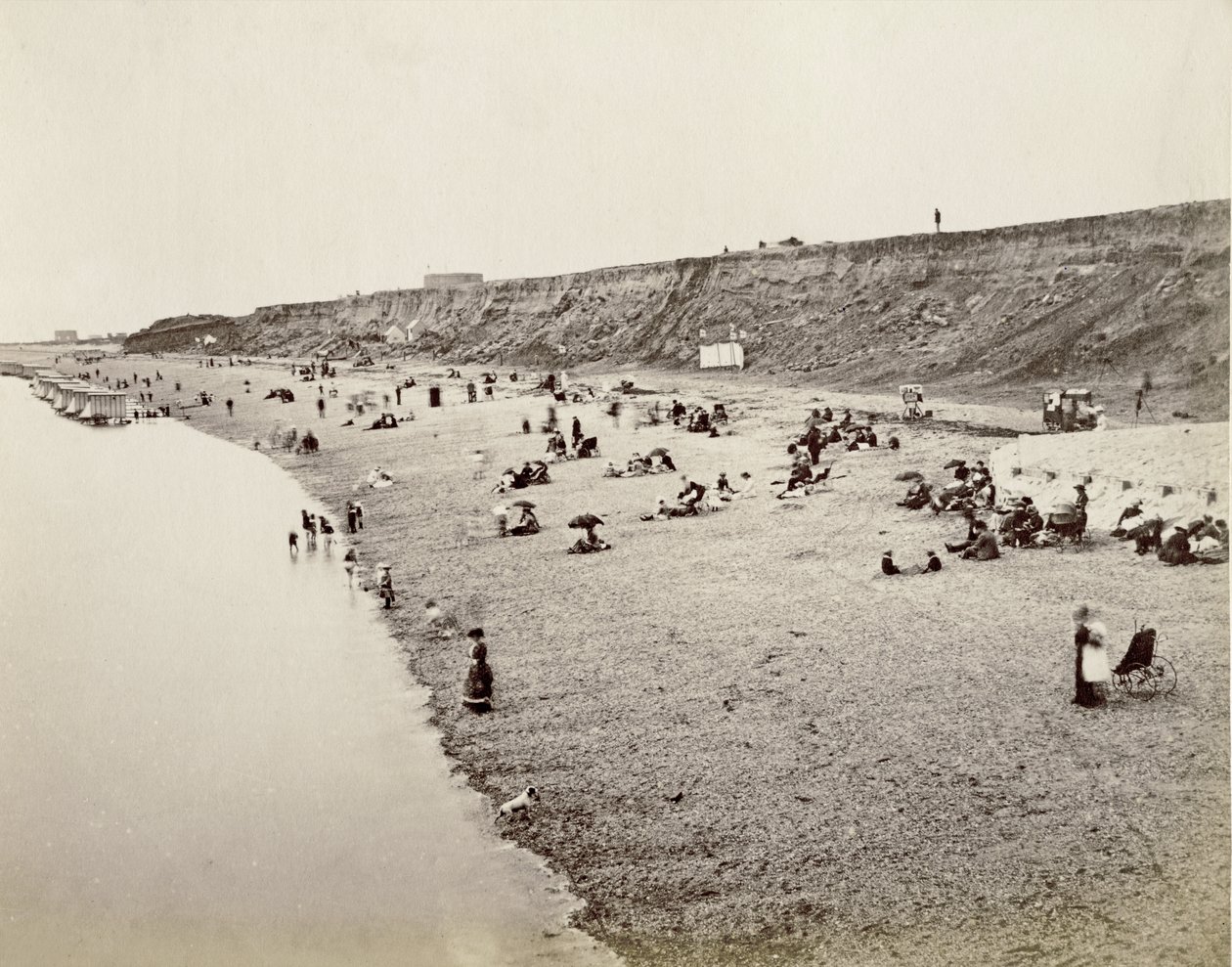 شاطئ باباكومب ، ديفون ، 1890 بواسطة مصور انجليزى