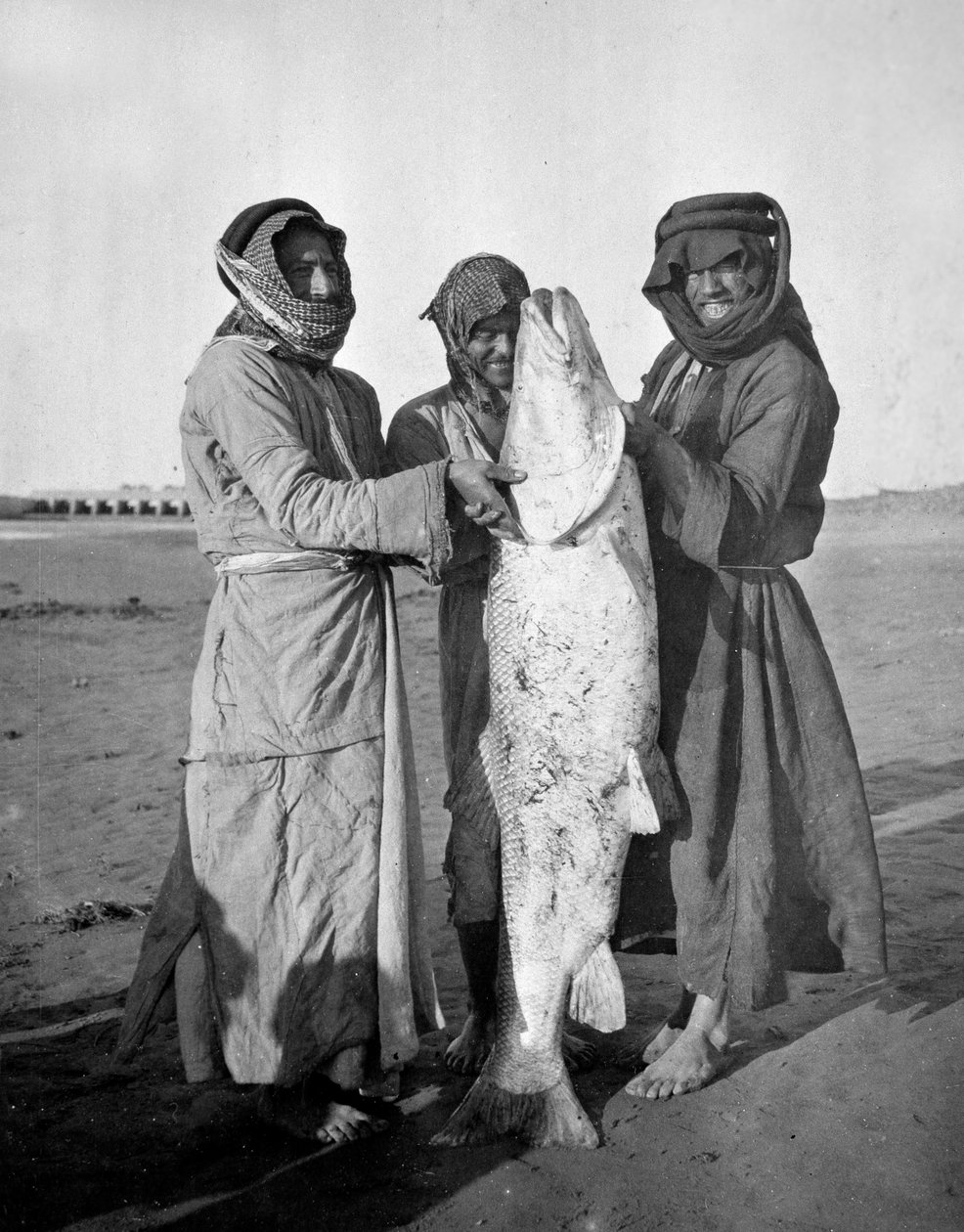 عرب مدنيون سمكة كبيرة ، 1914-1918 بواسطة مصور انجليزى