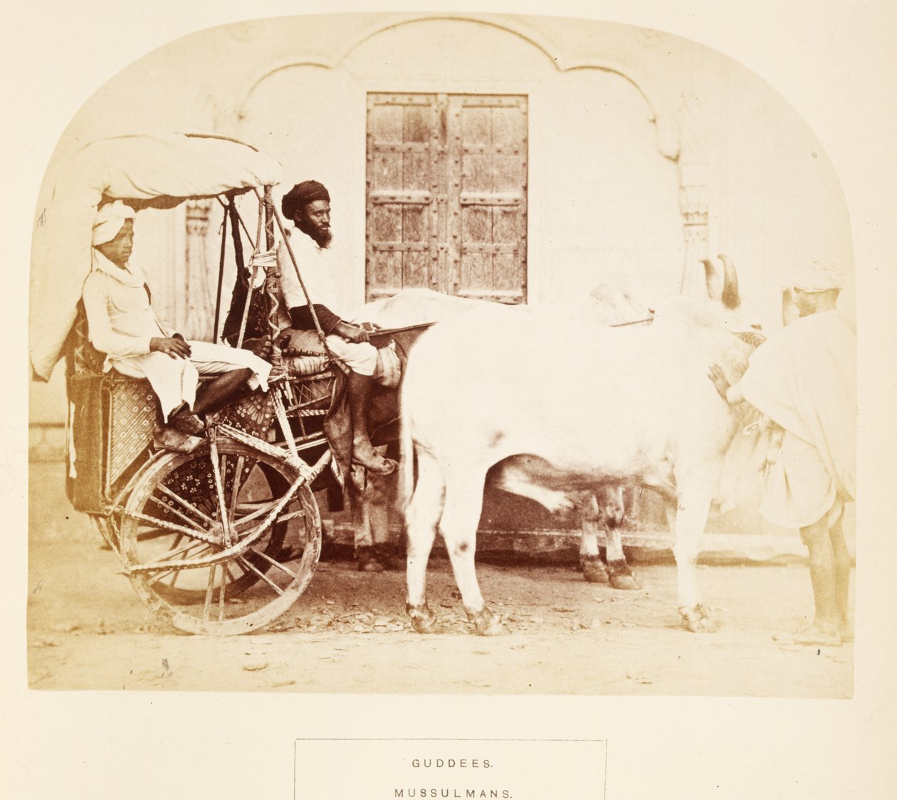 Guddees ، Mussulmans ، Rajpootana ، من The People of India ، بقلم J. Forbes Watson ، تم نشره عام 1868 (طبعة زخرفية) بواسطة مصور انجليزى