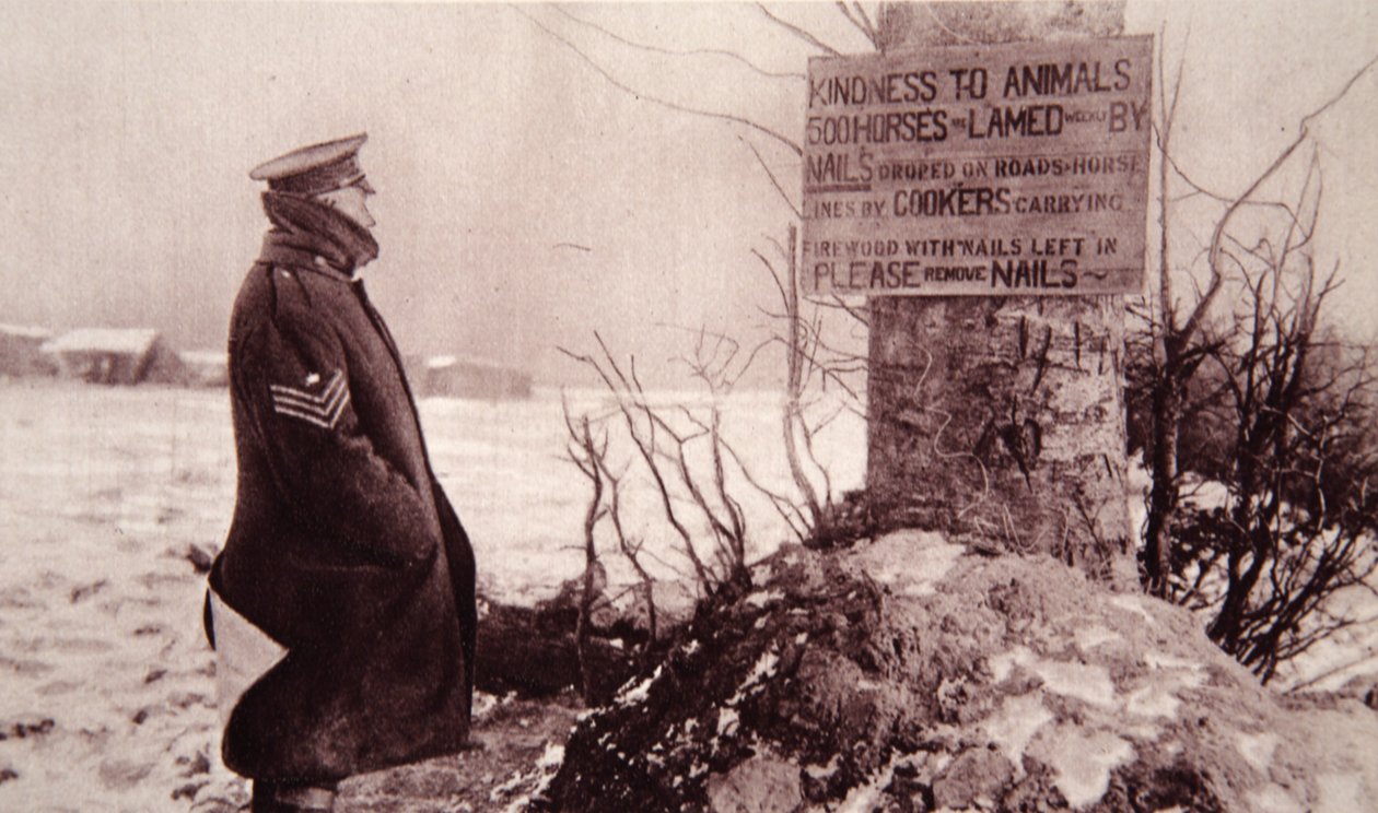 اللطف مع الحيوانات ، توضيح من أخبار الحرب المصورة ، 7 فبراير 1917 (صورة بني داكن) بواسطة مصور انجليزى