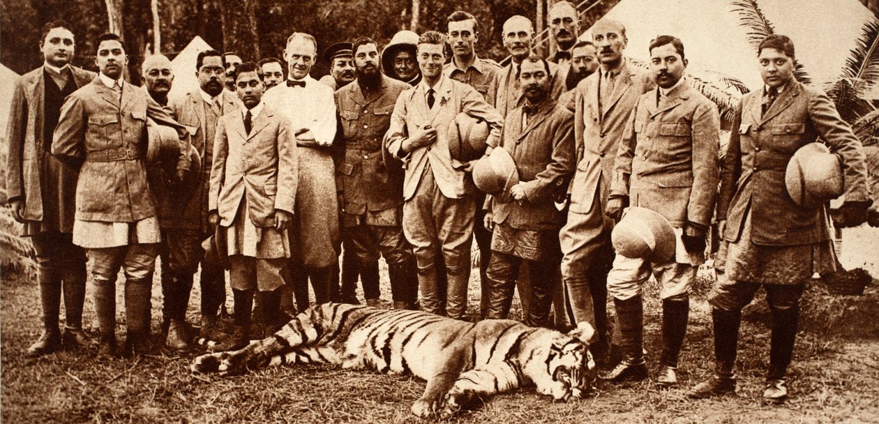 الملك إدوارد الثامن النمر الأول ، 1921 بواسطة مصور انجليزى