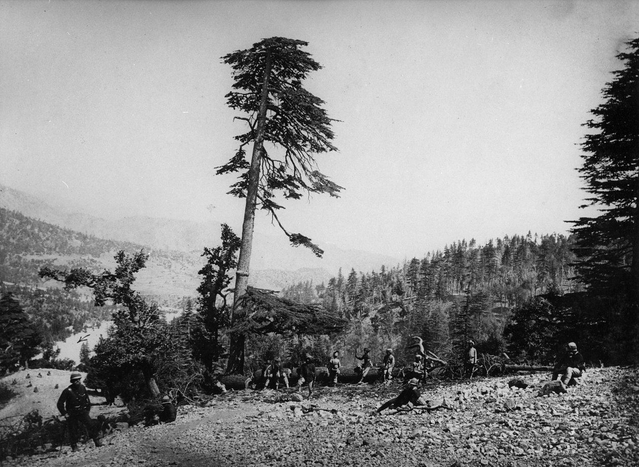 الجنود الأصليون والبريطانيون يستريحون خلال الحرب الأنغلو-أفغانية الثانية ، 1878-1880 بواسطة مصور انجليزى