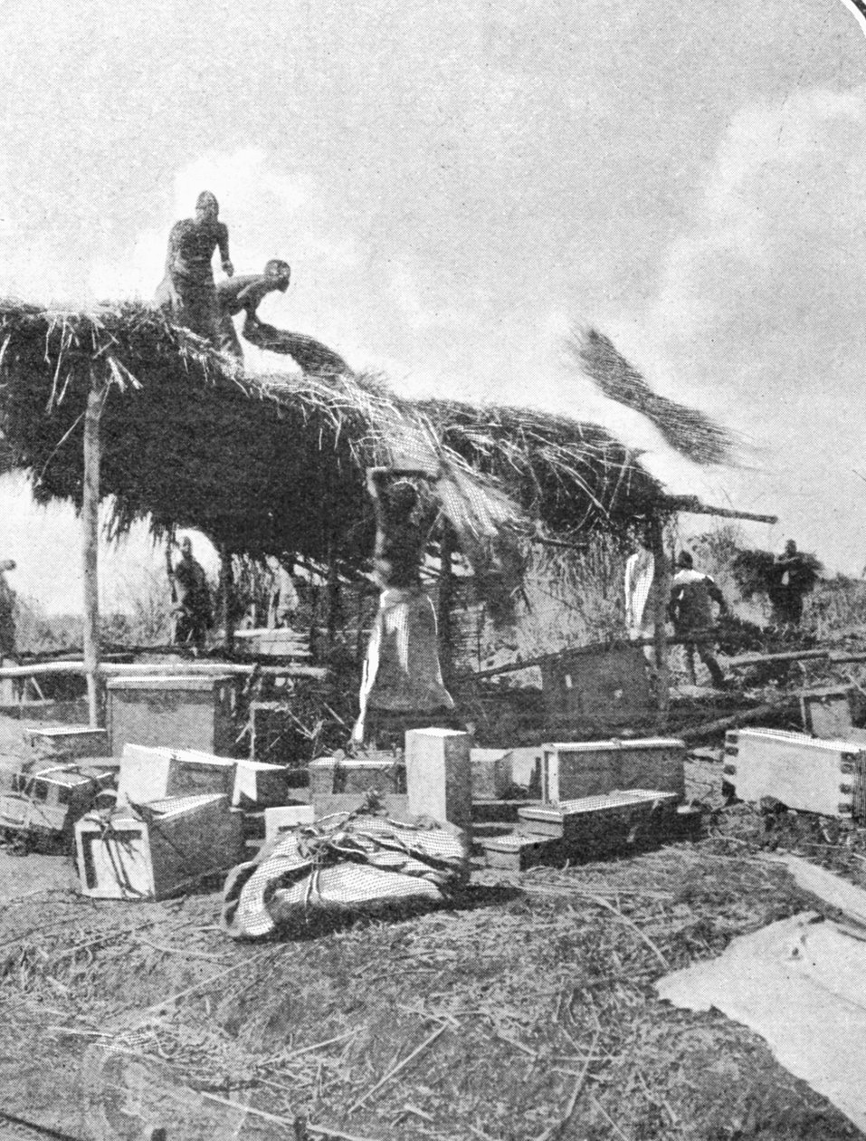 مواطنون يبنون استراحة ، من مقال بعنوان إلى جبال القمر نشر في الجرافيك 27 أكتوبر 1906 بواسطة مصور انجليزى