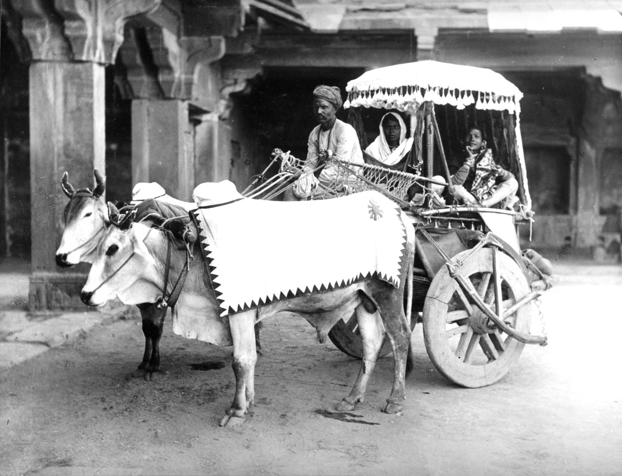 عربة Ox-Drawn ، الهند ، c.1907 بواسطة مصور انجليزى