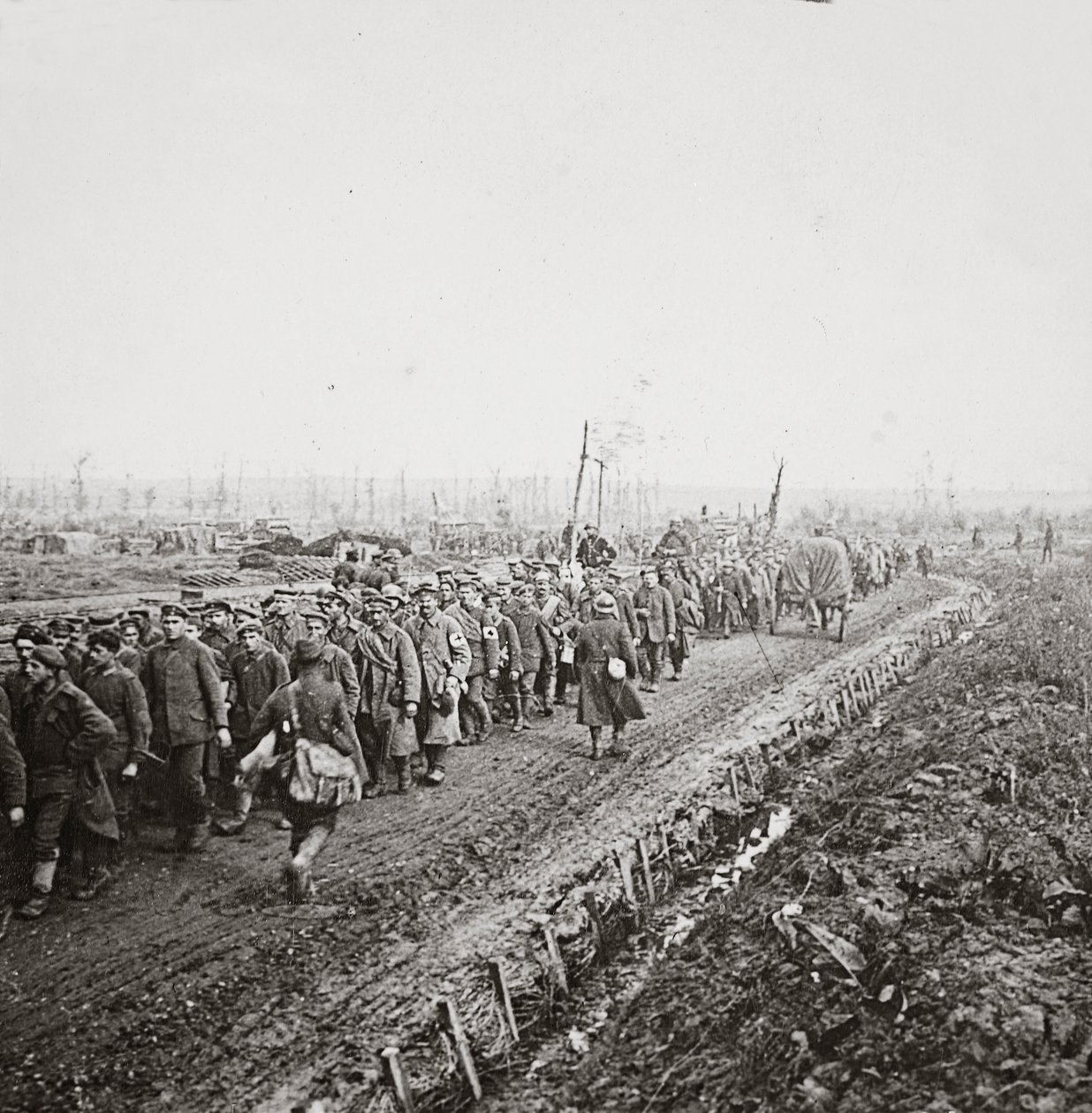 تم أسر الآلاف من الجنود الألمان في المسار النهائي للجيوش الألمانية على Sambre ، 1918 بواسطة مصور انجليزى
