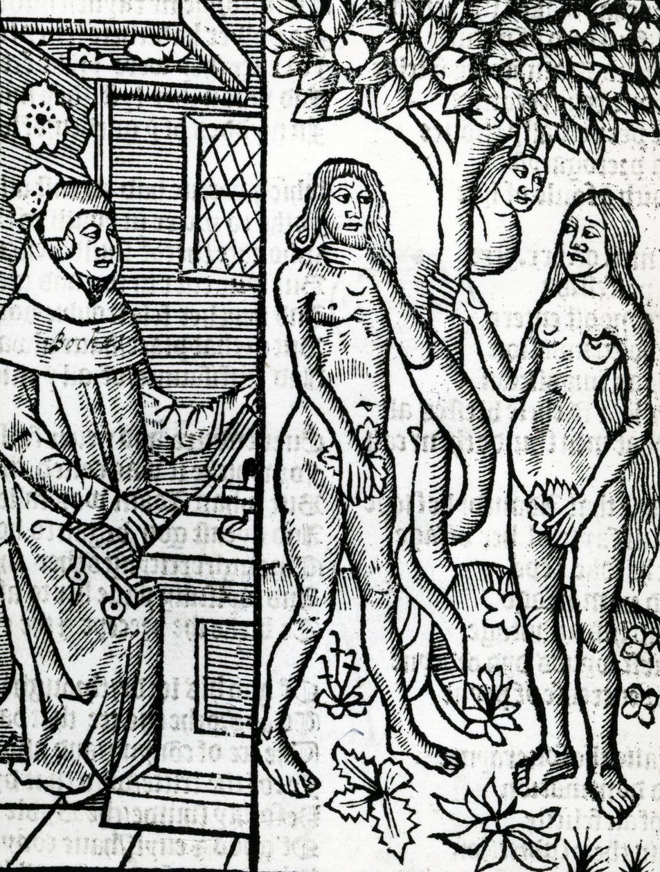 آدم وحواء ، من ترجمة جون ليدغيت لـ Boccaccio&39;s "The Cases in men lllustrium، 1527 بواسطة مدرسة اللغة الإنجليزية
