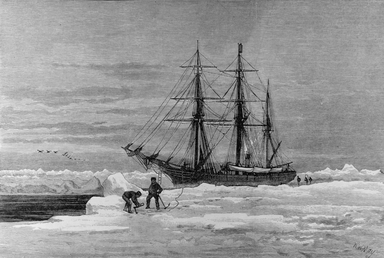 استكشاف القطب الشمالي: The Eira ، السيد Leigh Smith&39;s Yacht ، من "The Illustrated London News" ، 7 يناير 1882 بواسطة مدرسة اللغة الإنجليزية