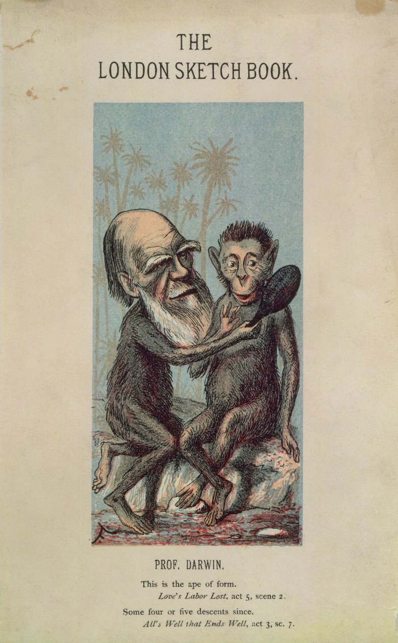 كارتون داروين مع قرد ، من كتاب لندن للرسم ، أبريل 1874 ، المجلد الأول ، العدد الرابع بواسطة مدرسة اللغة الإنجليزية