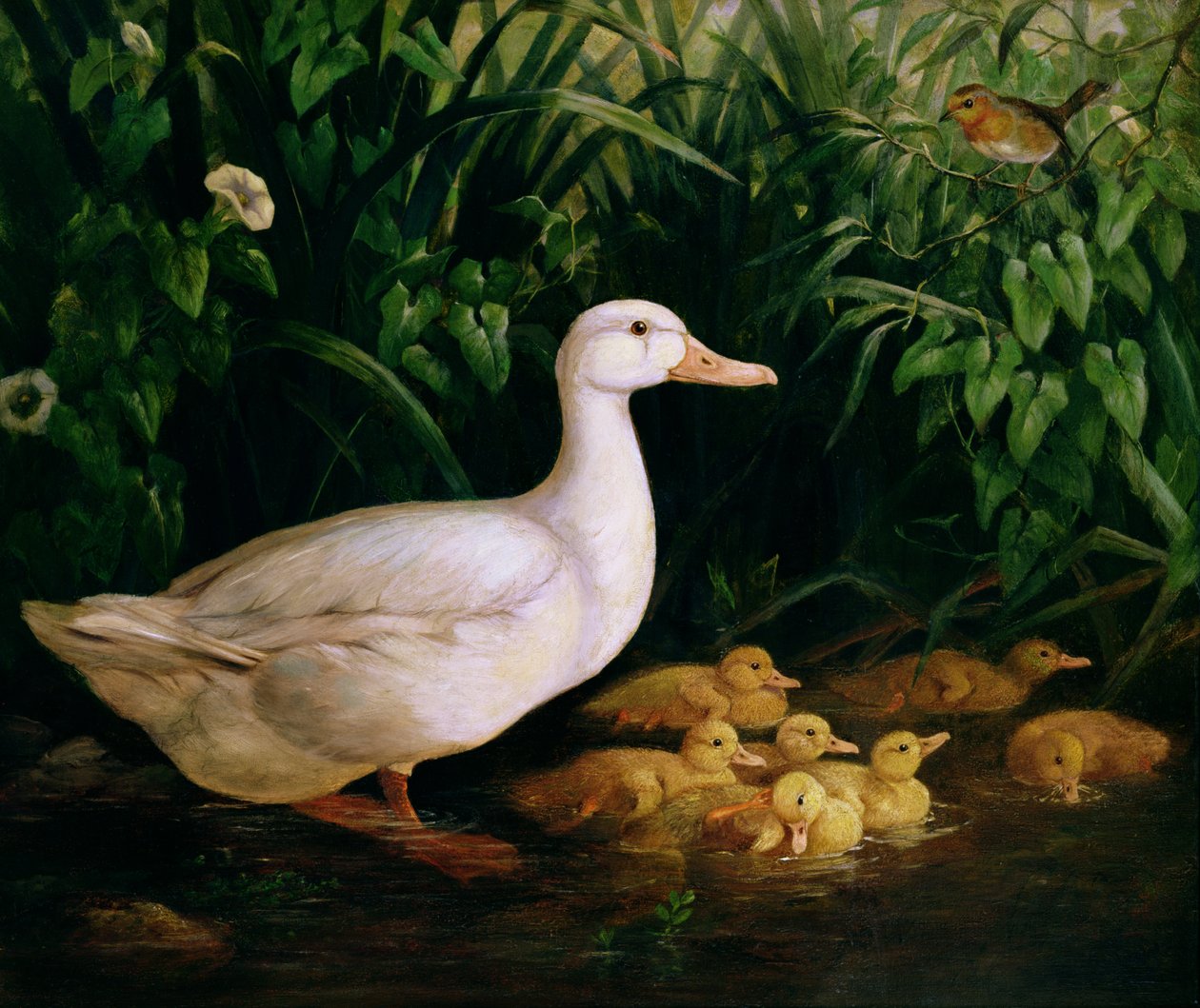 البط والبط ، c.1890 بواسطة مدرسة اللغة الإنجليزية