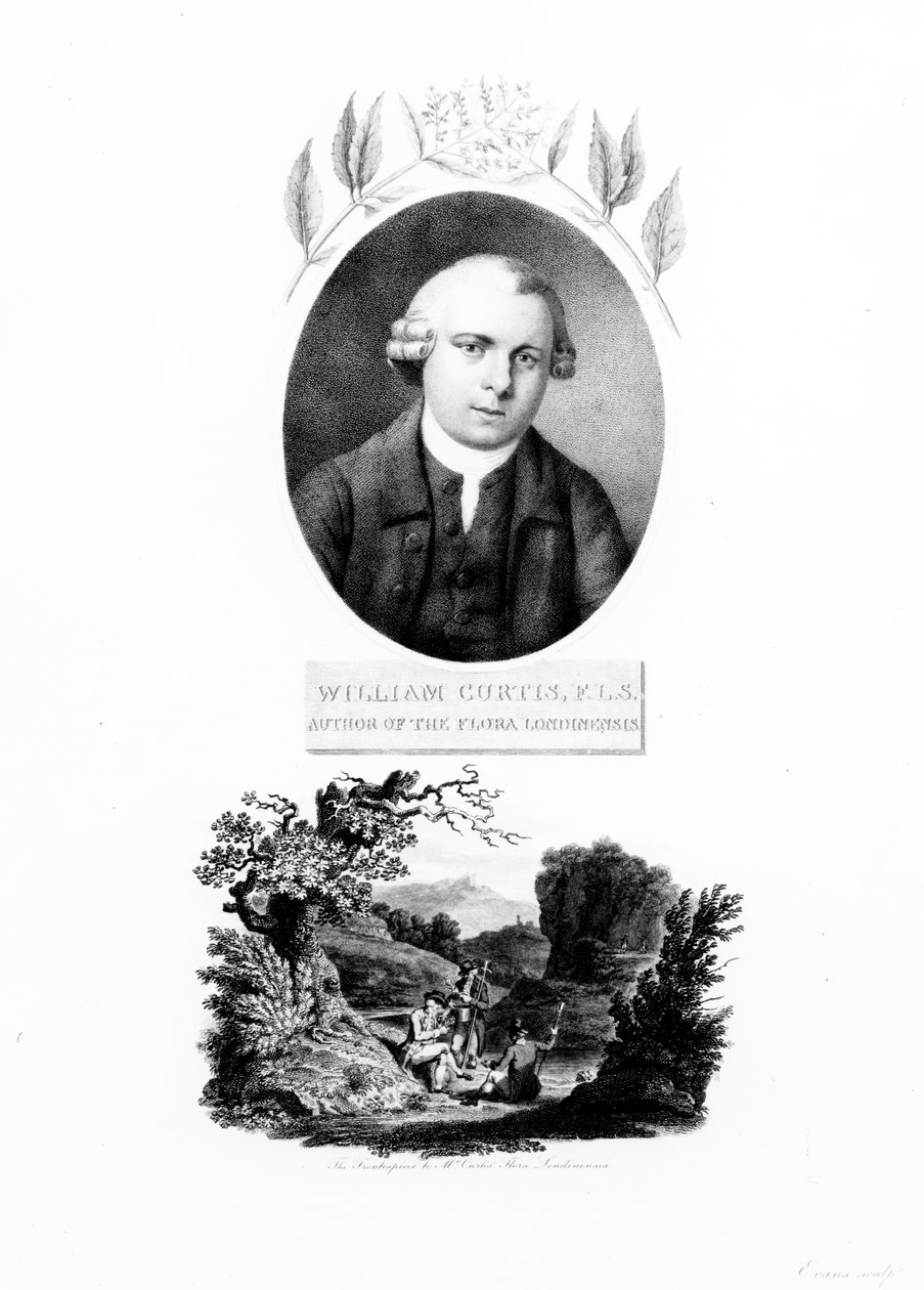 صورة لواجهة &39;Flora Londinensis&39; ، مع صورة للمؤلف William Curtis ، طبعة نُشرت عام 1802 بواسطة مدرسة اللغة الإنجليزية