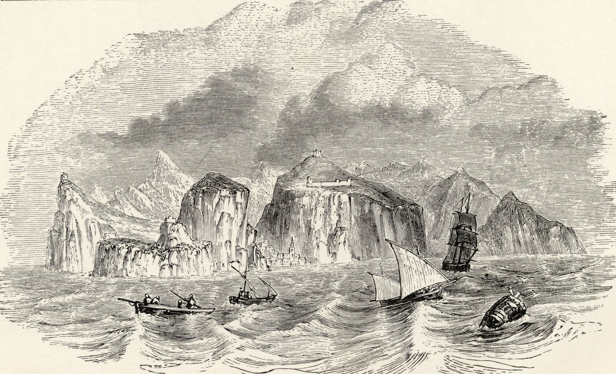 رسم توضيحي من "مجلة الأبحاث" بقلم تشارلز داروين (1809-82) نشر لندن 1890 بواسطة مدرسة اللغة الإنجليزية