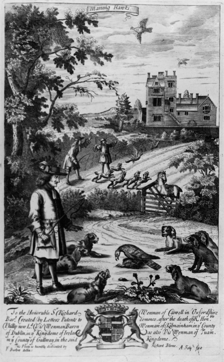 مانينغ صقور ، من &39;The Gentleman&39;s Recreation&39; نشره ريتشارد بلوم ، 1686 بواسطة مدرسة اللغة الإنجليزية