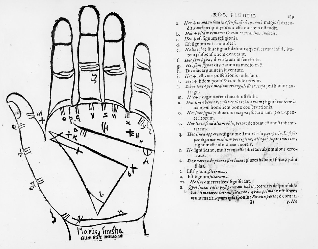 قراءة الكف بواسطة مدرسة اللغة الإنجليزية