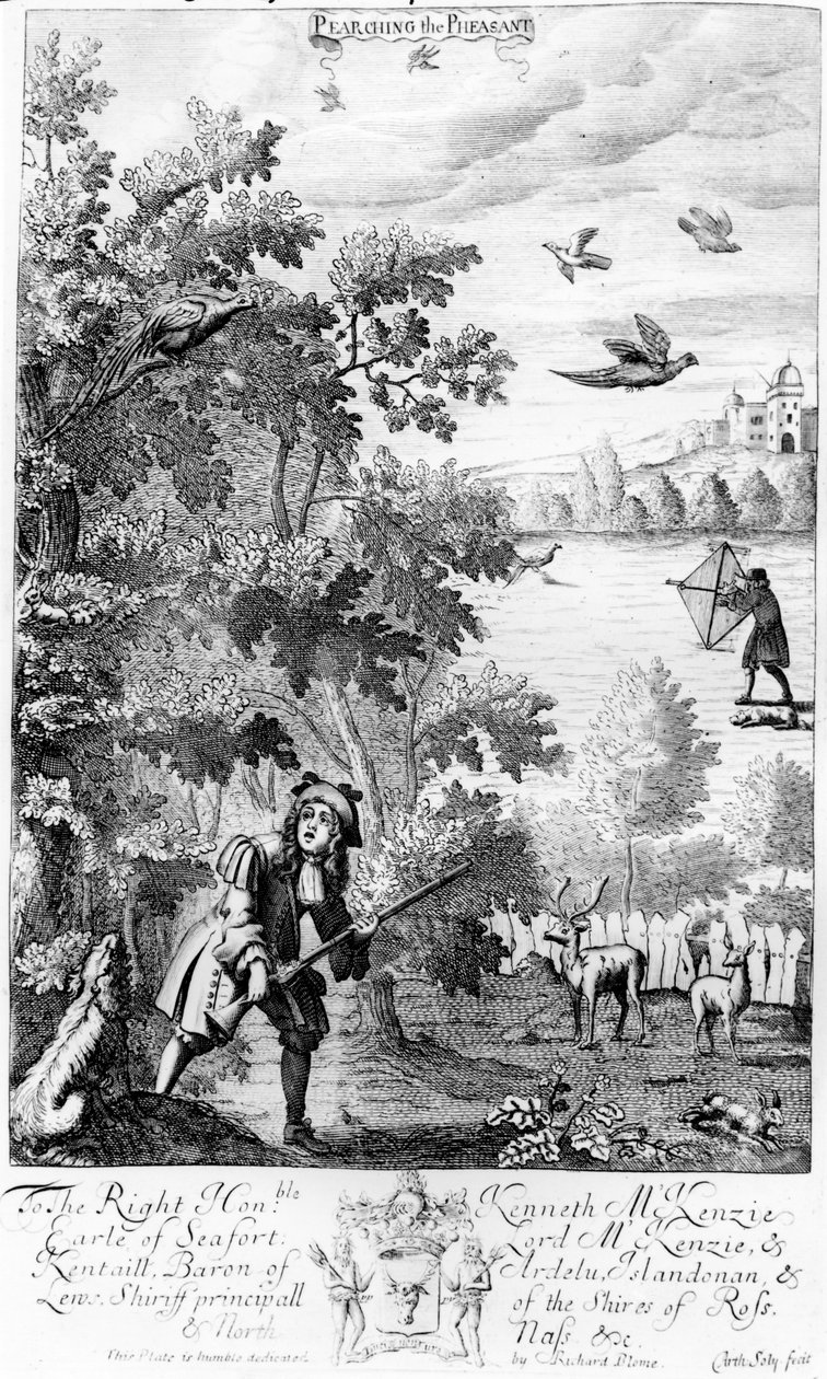 البحث عن الدراج ، من `` منتزه الجنتلمان &39;&39; الذي نشره ريتشارد بلوم ، 1686 بواسطة مدرسة اللغة الإنجليزية